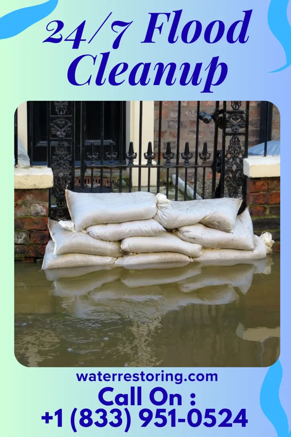 24/7 Flood Cleanup in Thunderbolt, GA