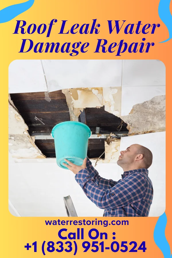 Roof Leak Water Damage Repair in Thunderbolt, GA