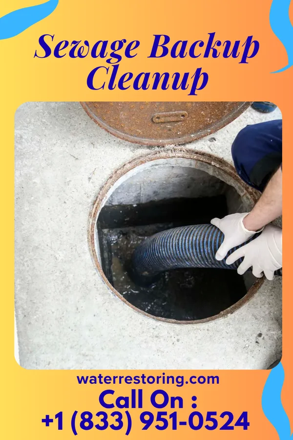 Sewage Backup Cleanup in Thunderbolt, GA