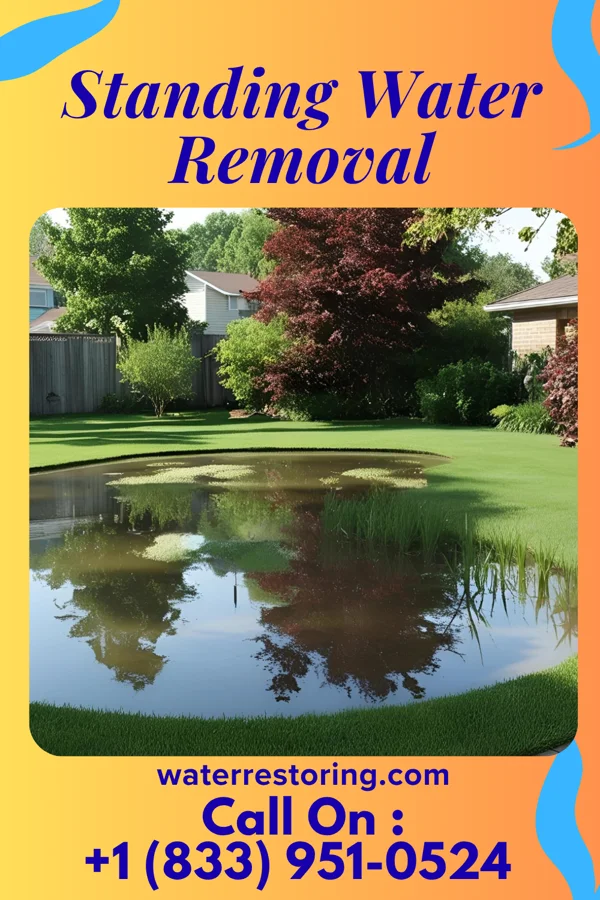 Standing Water Removal in Thunderbolt, GA